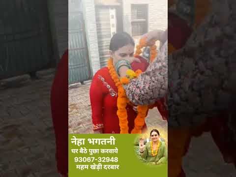 घर बैठे सभी समस्या का समाधान (महम खेड़ी दरबार ) #shorts #viraldance #kali -DKSCORE