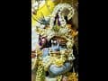 Govardhan 2024 #astrology #familytraditions #festival -DKSCORE