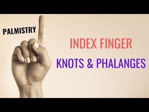 Index Finger Palmistry: Unveiling Leadership and Intellect Through Vedic Palmistry -DKSCORE Index Finger Palmistry: Unveiling Leadership and Intellect Through Vedic Palmistry -DKSCORE